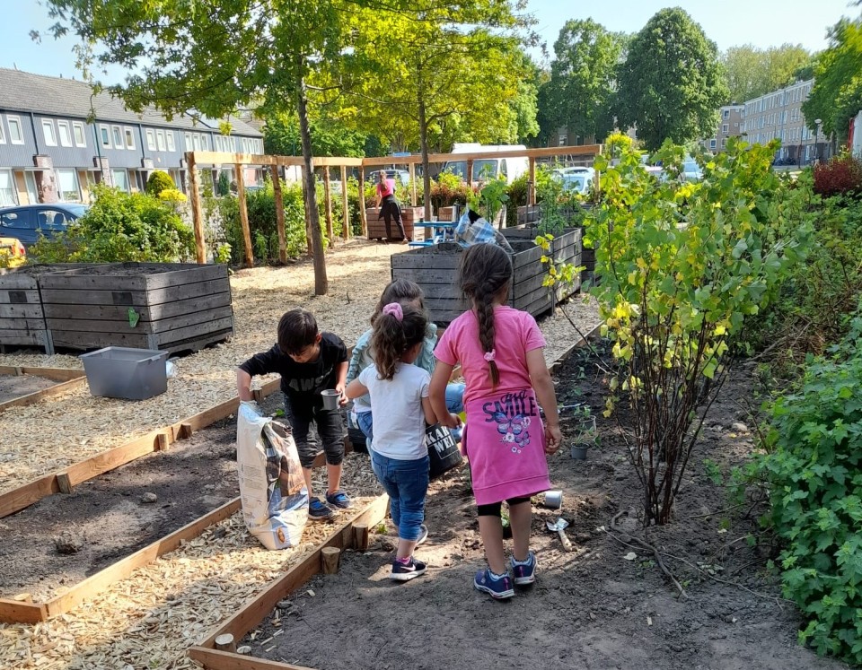 Kinderen moestuin De Engk.jpg