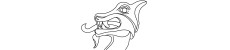 logo Stichting beheer Vikingschip