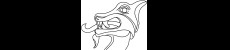logo Stichting beheer Vikingschip