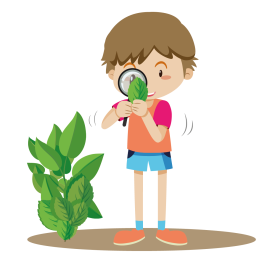 Natuureducatie_Kids.png