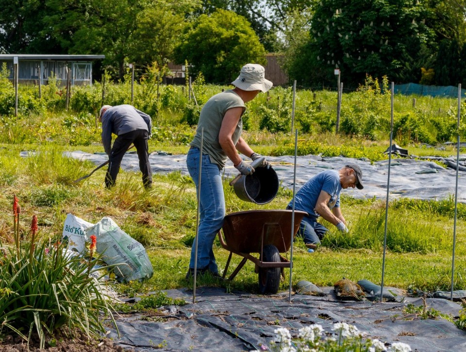 DeWijkseMoestuinMedewerkers.jpg