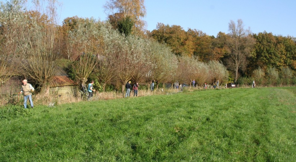 wbd_landschapsbeheer.jpg