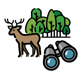 Dieren_spotten.png