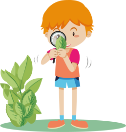 Natuureducatie.png