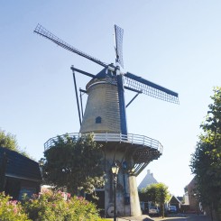 Cothen-molen-oog-in-t-Zeil.jpg