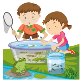 Waterdieren_Kids.png